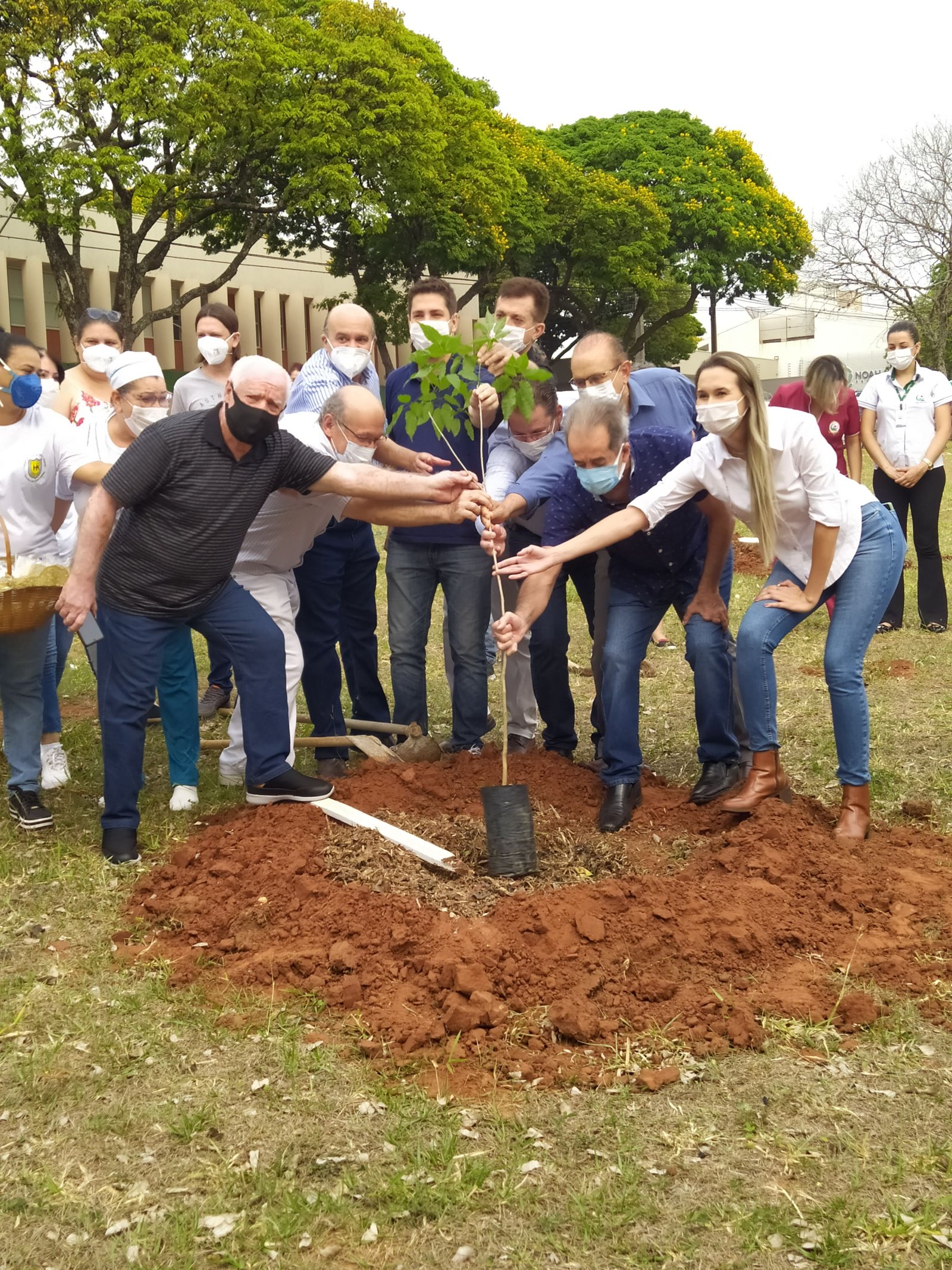 Com plantio de Ipês, Praça Oscar Thompson é transformada em símbolo da luta contra a Covid-19 em Umuarama